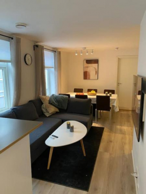 2 Bedroom Apartment Located Downtown Trondheim